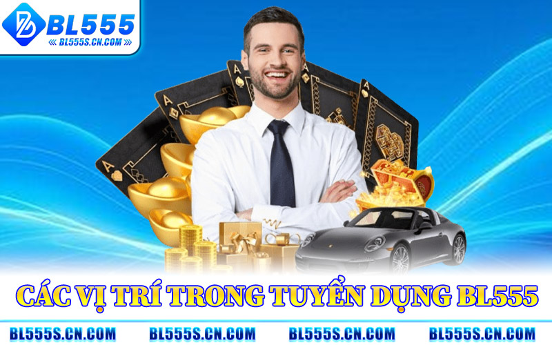 Các Vị Trí Trong Tuyển Dụng BL555